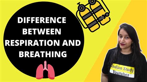 Difference Between Breathing And Respiration Youtube