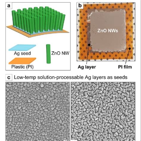 Sem Images Of The Znws Grown By The Hydrothermal Process At Different