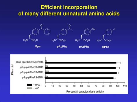 Ppt Unnatural Protein Engineering Biochemical And Medicinal