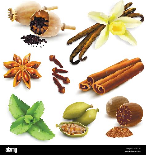 Herbs And Spices Decorative Elements Set Of Poppy Seed Vanilla Cinnamon