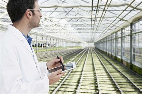 Germany Bavaria Munich Scientist In Greenhouse With Digital Tablet