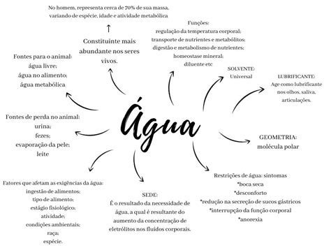 Mapa Mental Água Nutrição Animal