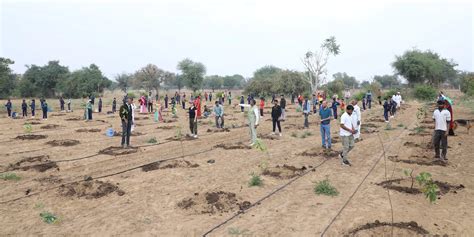 Rajasthan Launches Ambitious Tree Plantation Drive Urban Acres