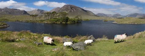 Connemara National Park: Map, Things To Do, Walks & Tours