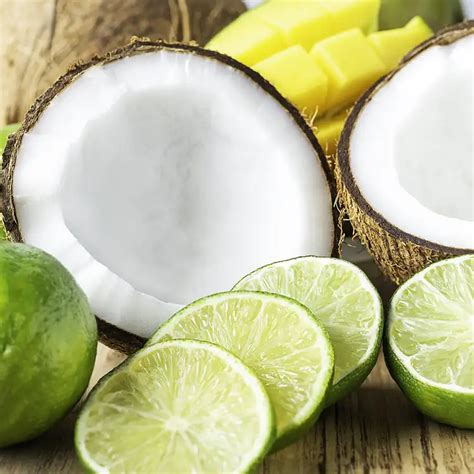 Coconut Lime Fragrance Oil Candlescience