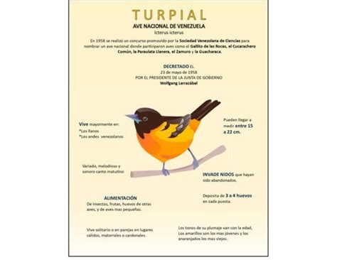 Tr Ptico Y Laminas Informativas Sobre Los S Mbolos Naturales De