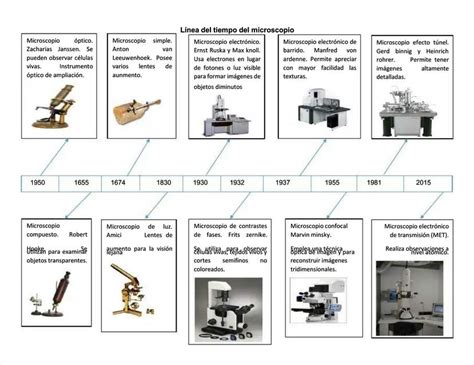 Resúmenes de El microscopio Descarga apuntes de El microscopio