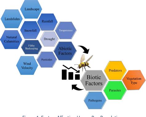 Figure 1 From Factors Affecting Honey Bee Population In Western Himalaya Of Uttarakhand An