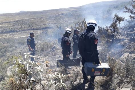 Incendios forestales más de mil hectáreas afectadas en tres regiones