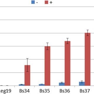 Gana Galactosidase Activity In Cleared Crude Extracts From B