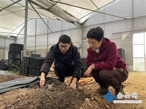 江苏句容：小山村从脱贫摘帽走向乡村振兴 中国镇江金山网 国家一类新闻网站