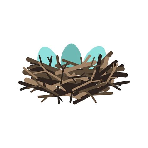 Premium Vector Nature Vector Nest With Blue Eggs Isolated Illustration