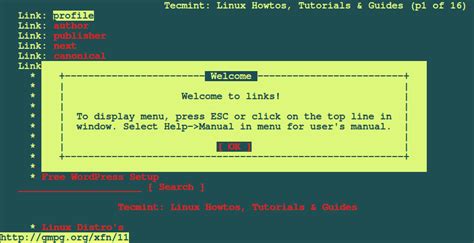 11 Best Open Source Web Browsers I Discovered for Linux in 2016