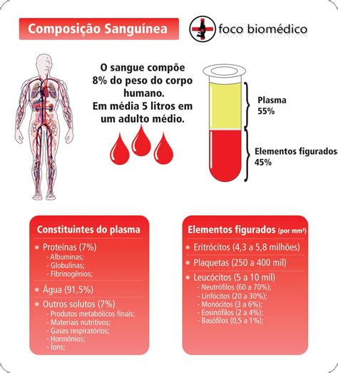 Quantos Quilômetros De Vaso Sanguíneo Até O Corpo Humano Aproximadamente
