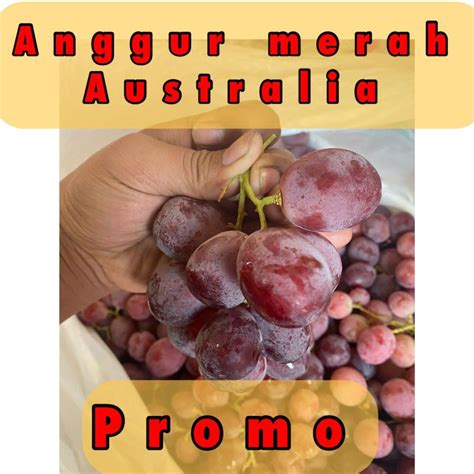 Jual Buah Anggur Merah Kg Nuri Fruits Buah Segar Bandung Anggur Merah