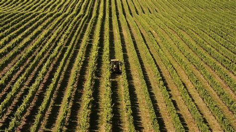 Fellows Of New Zealand Winegrowers Announced For 2021 Winetitles