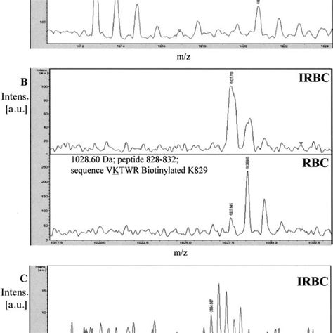 The Sulfo Nhs Lc Biotin Derivative Reacts With Primary Amines To Form A