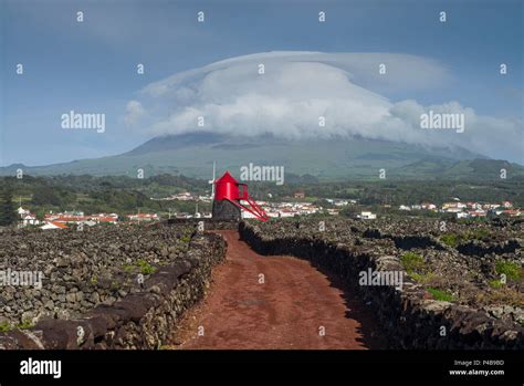 Portugal Azores Pico Island Criacao Velha Moinho Do Frade