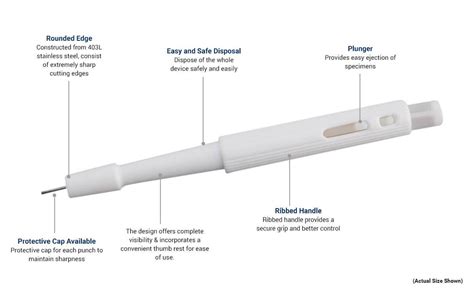 PDMS Microfluidic Chip Hole Puncher Kit, Disposable Biopsy Punch with Plunger | PrecigenomeLLC