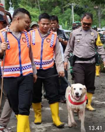 Polda Sumut Turunkan Anjing Pelacak Bantu Pencarian Korban Longsor Di