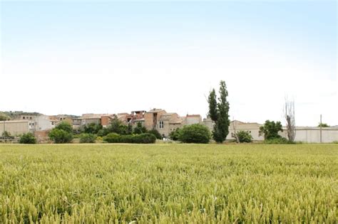 Cervera La Segarra Lleida All Tourist Information Discover It