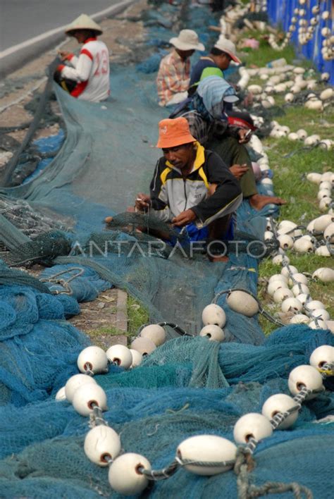 PERBAIKI JARING PUKAT HARIMAU | ANTARA Foto