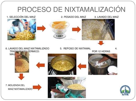 Proceso De Elaboracion De La Tortilla De Maiz Con Dibujos