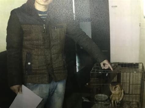 【世界环境日】男子猎捕国家二级保护动物 微信公然售卖获刑澎湃号·政务澎湃新闻 The Paper