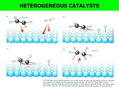 Ppt Starter 1definition Of Catalysts 2 Difference Between