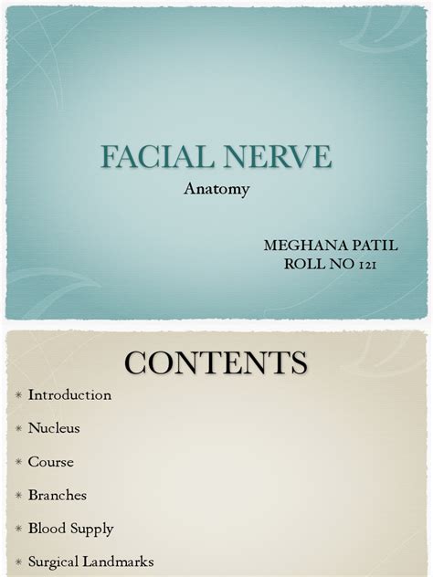 Facial Nerve - Anatomy | PDF | Neuroanatomy | Nervous System