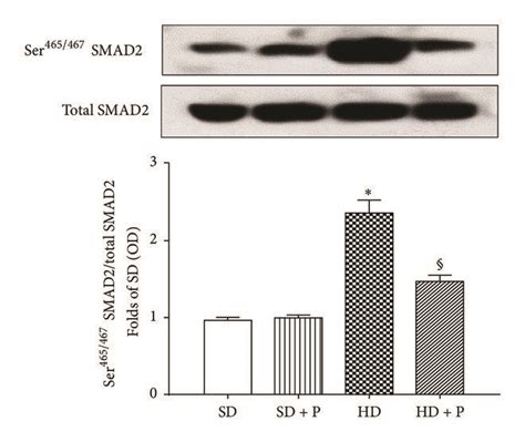 Effects of HD and pyridoxamine administration on profibrotic response.... | Download Scientific ...