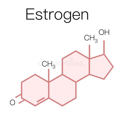 Hormonas Sexuais Vetor De Estrogênio Ilustração Stock Ilustração de
