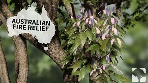 Australian Fire Relief – SpeedTree