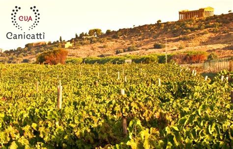 Continueremo A Raccontare La Sicilia Attraverso Vino E Cultura