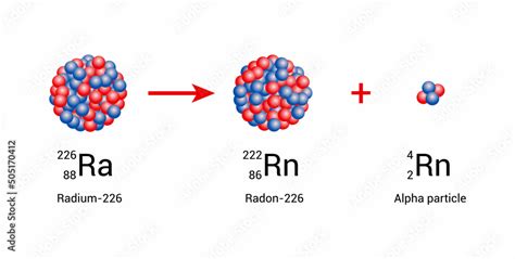 radium-226 nucleus undergoes alpha decay to form radon-222 Stock Vector ...