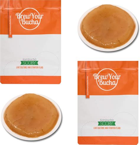 Brew Your Bucha Kombucha Scoby With Starter Fluid Kombucha Starter Kit