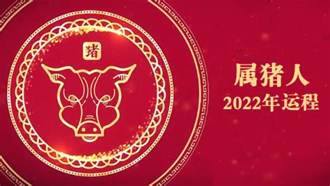 蔡伟雄2022年属猪人运势生肖吉运堂算命网