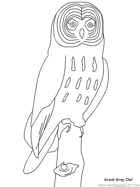 Great Horned Owl Coloring Pages