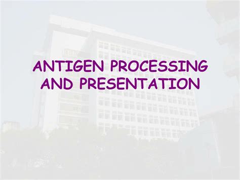 PPT - APC & Antigen presentation PowerPoint Presentation, free download ...