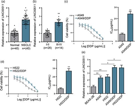 Knockdown Of Linc Decreased Cisplatin Resistance In Non Small Cell