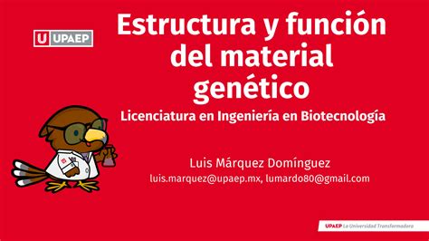 Solution Estructura Y Funci N Del Material Gen Tico Oto O