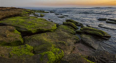 Geology of the Coquina Rocks | Florida State Parks