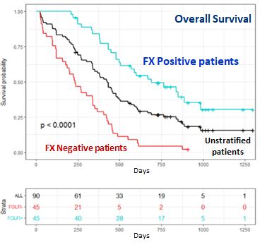 Diagnostic Cancer Du Pancr As R Ponse Du Patient Au Folfirinox