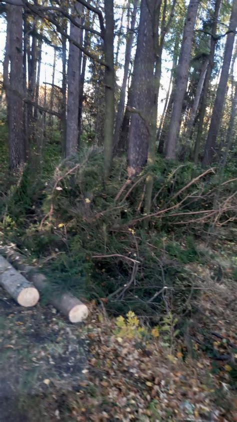 Stra Po Arna Z Ostroszowic Usuwa A Skutki Silnych Wiatr W