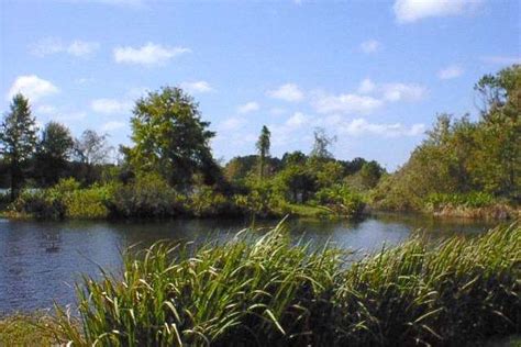 Lake Alice - Architecture of the University of Florida (Gainesville ...