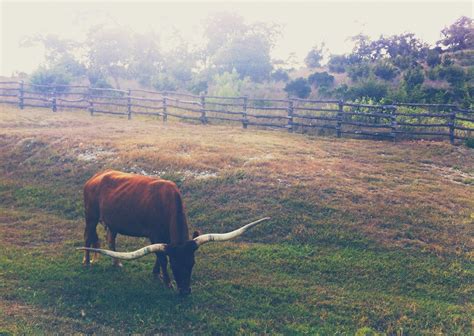 Free Images Landscape Nature Grass Field Farm Meadow Prairie