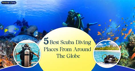 Best Places To Do Scuba Diving At Paul Timmons Blog