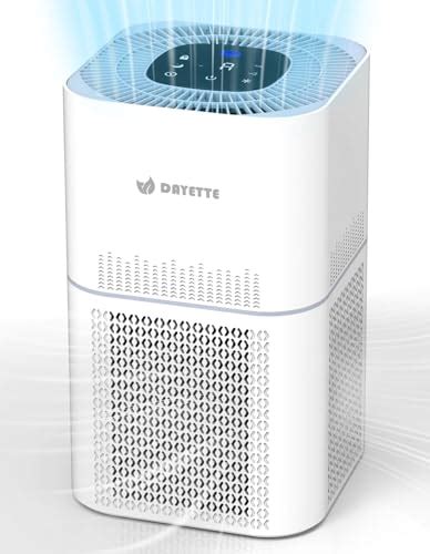 Top 10 Best Cheap Hepa Air Purifier Reviews And Buying Guide Katynel