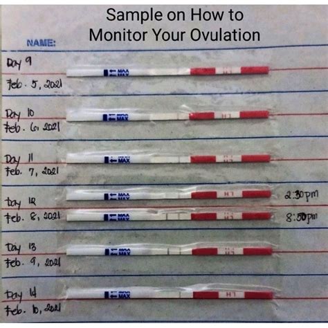 Merca 1pc Ovulation Test Strips Urine Test Lh Pregnancy Test Strips Kit