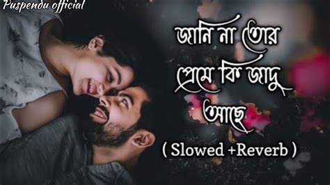 Janina Tor Preme Ki Jadu Ache জানিনা তোর প্রেমে কি জাদু আছে Lofi